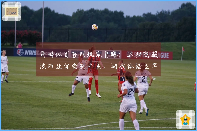 易游体育官网玩家首曝：这些隐藏技巧让你告别卡关，游戏体验立竿见影